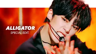 MONSTA X 몬스타엑스 - Alligator Stage Mix(교차편집) Special Edit.