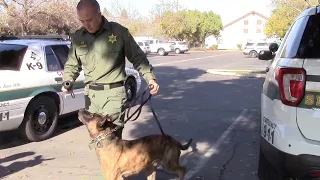 Police Dog Returns To Work After Being Shot