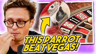 How Max Fosh Tricked Casinos Using A PARROT!