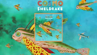 Cosmo Sheldrake - Cuckoo Song (1 Hour Loop)