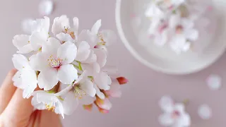 樹脂粘土で作る桜の花　DIY Cherry Blossoms Clay Flower クレイフラワー