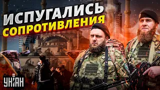 Кадыровцы испугались сопротивления в Чечне и устроили масштабные репрессии