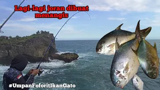 Bagini jadinya jika ikan Gato sudah bertemu dengan makanan favoritnya #mancingmania #rockfishing