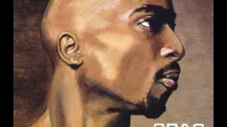 2Pac - World Wide Mob Figgaz