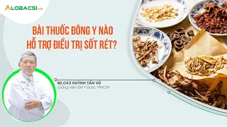 Bài Thuốc Đông Y Nào Hỗ Trợ Điều Trị Sốt Rét?