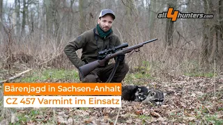 Bärenjagd in Sachsen - Anhalt - Mit der CZ 457 Varmint auf Waschbären