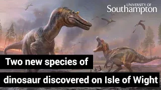 Two new species of large predatory dinosaur discovered on Isle of Wight
