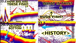 Fish Finders for Dummies! Sonar for beginners. MORE Lessons added PLUS SIDE SCAN Explained. Simrad