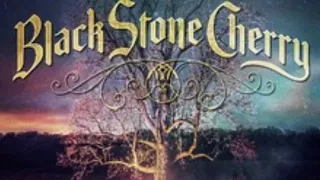 Dancin' In The Rain (feat Warren Haynes)-Black Stone Cherry