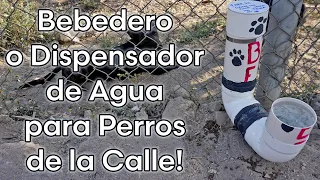 Como Hacer un BEBEDERO O DISPENSADOR DE AGUA PARA PERROS DE LA CALLE O REFUGIOS 🐶⛲💧