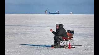 Де-Кастри. Железо или мясо?