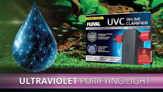 Fluval UVC In-Line Clarifier