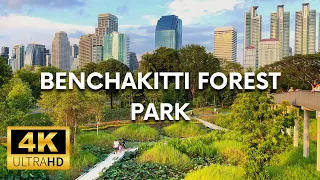 [4K UHD 60fps] Walk in NEW Benchakitti Forest Park | Bangkok, Thailand