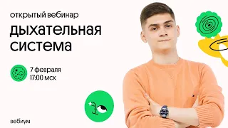 ДЫХАТЕЛЬНАЯ СИСТЕМА | ЕГЭ по биологии | Теория и практика