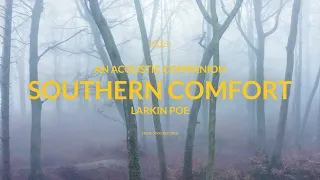 Larkin Poe - Southern Comfort (Acoustic) [Official Visualizer]