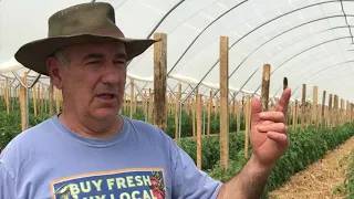 The Ins and Outs of High Tunnels with Pete's Produce Farm