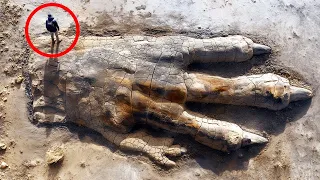 ¡No vas a creer lo que este arqueólogo encontró!