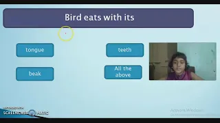 SCIENCE - Birds ( Beaks / Nests / Claws / Food) - CBSE : Class 3 : Science|| ICSE || NCERT | SCIENCE