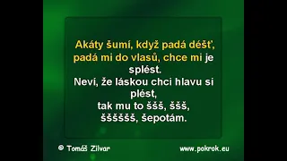 Ššš - Zuzana Norisová, DEMO, Karaoke, instrumental z www.svetkaraoke.cz