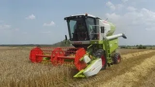 Żniwa 2013 - Jęczmień Ozimy || Claas Avero 160 ||