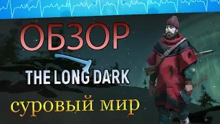 The Long Dark - обзор. Одна из лучших выживалок!