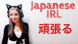 頑張る Ganbaru & Let's DO THIS! ~ Japanese IRL!