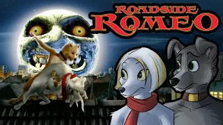 Roadside Romeo: The Furry Bollywood Musical? (Feat. Jinlong)