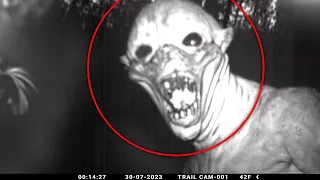 Heart-Pounding Moment Caught on Trail Cam: Prepare to Be Amazed