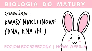 [NOWA WERSJA HQ!] Chemia życia 7 - Kwasy nukleinowe, DNA i RNA - biologia do matury liceum