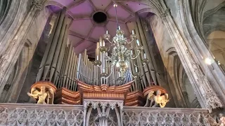 great organ at Vienna's St. Stephen's Cathedral