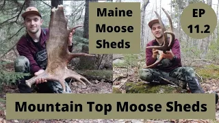 Mountain Top Moose Sheds -- Maine Moose Shed Hunting 2021 -- Beyond the Boundaries EP 11 Part 2