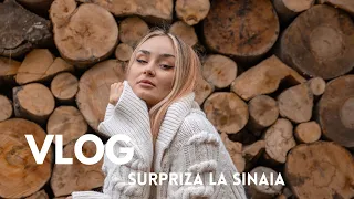 VLOG | Surpriza la Sinaia | Vesti noi din ultima vreme |