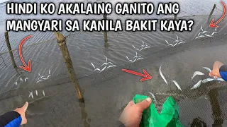 Hindi Ko Lubos Akalain Na Matatagpuan Ko Silang Ganito Napakarami😱 Jackpot