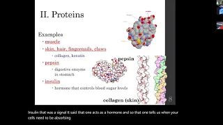 Topic D: Genetics - The Central Dogma