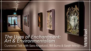 The Uses of Enchantment: Art & Environmentalism Curatorial Talk