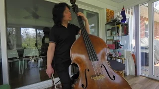 Owen Lee plays standard orchestra audition excerpts for bass (tutti repertoire)