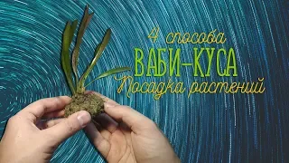 Ваби-Куса. Посадка растений. 4 способа посадки!