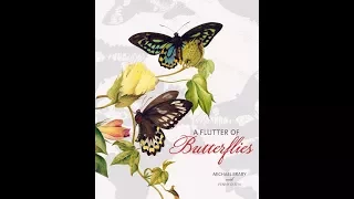 A Flutter of Butterflies - ABC Radio