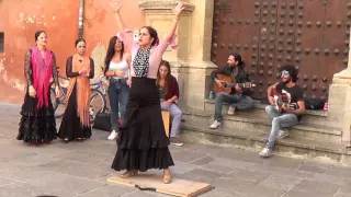 Flamenco dance (1) in Granada 2015