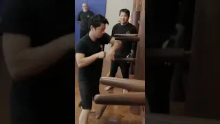 Wooden Dummy Training | Tan Da #shorts #wingchun #kungfu