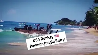 USA Donkey 🇱🇷 | America donkey status video | USA donkey status | America donkey from jungle