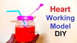 heart working model - biology - human - simple - using plastic bottle and balloon | howtofunda