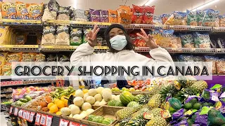 Come grocery shopping with me! GROCERY SHOPPING IN CANADA + HAUL| HOW MUCH IT COSTS.