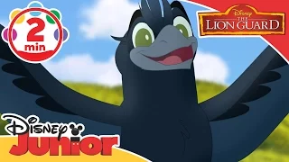 Musical Moments | The Lion Guard: Bird Of A 1000 Voices | Disney Junior UK