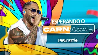 Parangolé - Esperando o Carnaval [Áudio Completo]