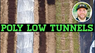 WHY YOU SHOULD NOT BUILD POLY LOW TUNNELS