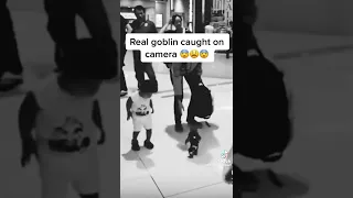 Real Goblin Caught on Camera
