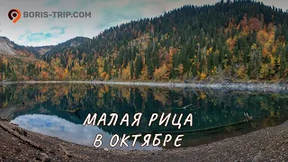 Озеро Малая Рица. Золотая осень в Абхазии.