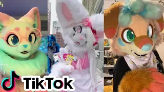 Furry Tiktok Compilation #2