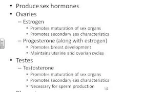 A&PII Chapter 16 Endocrine part 2